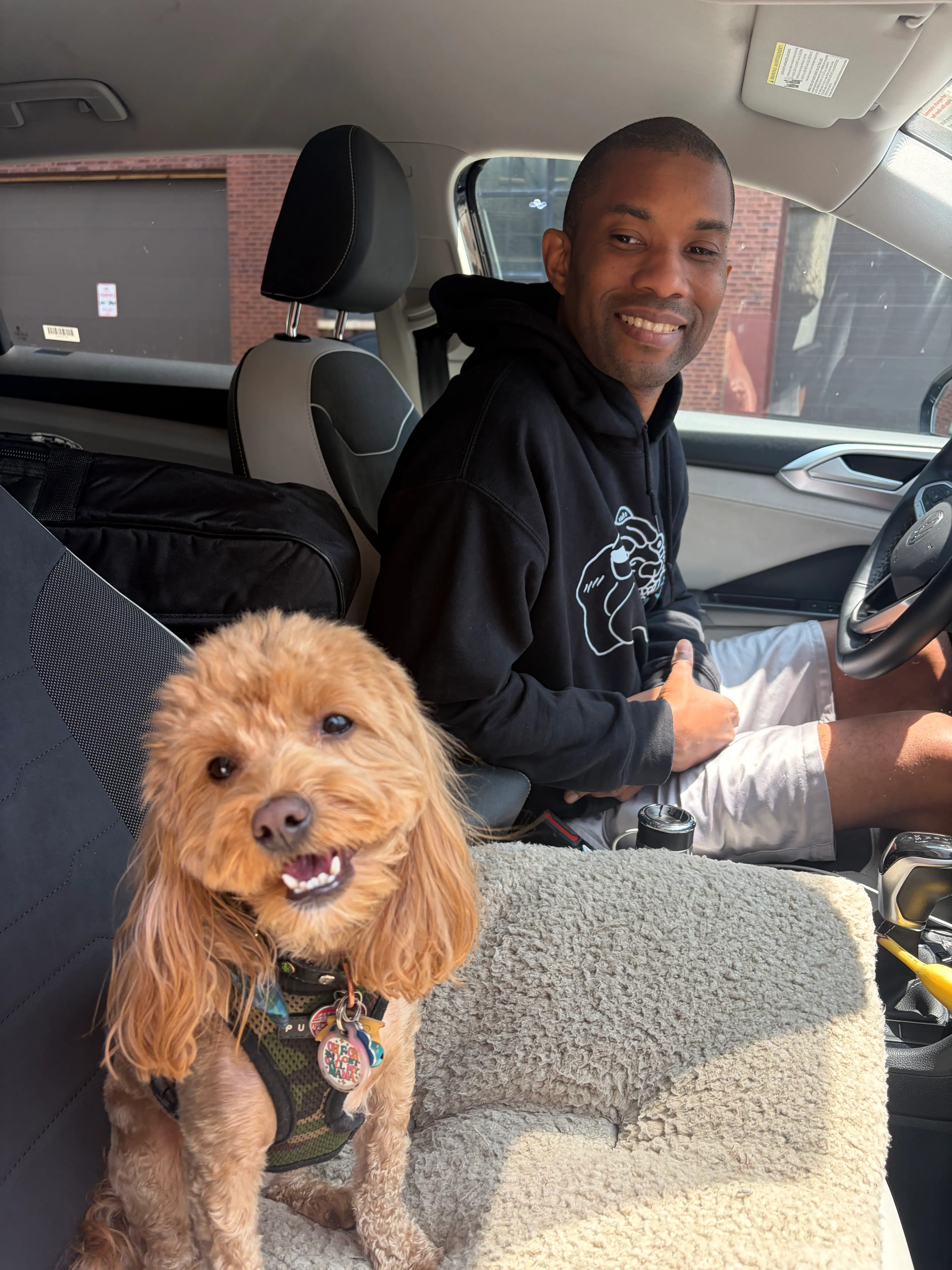 dog main